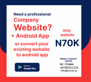 Need a professional company website