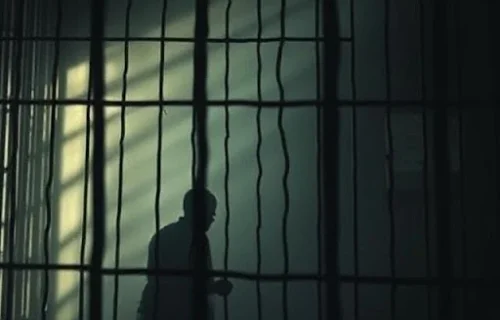 When Freedom Becomes a Trap: A True Story About the Dangers of Unchecked Independence